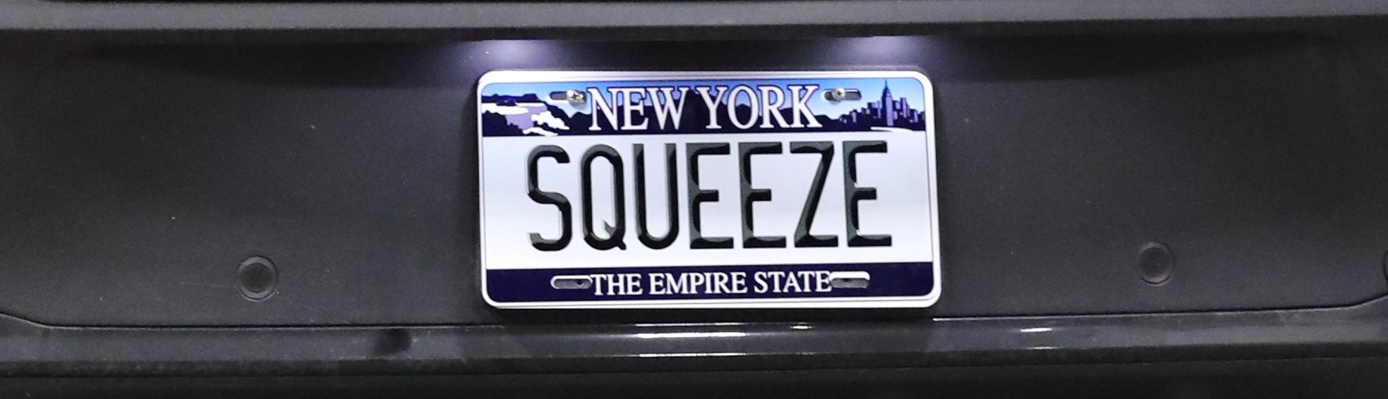 Squeeze NYC Plate