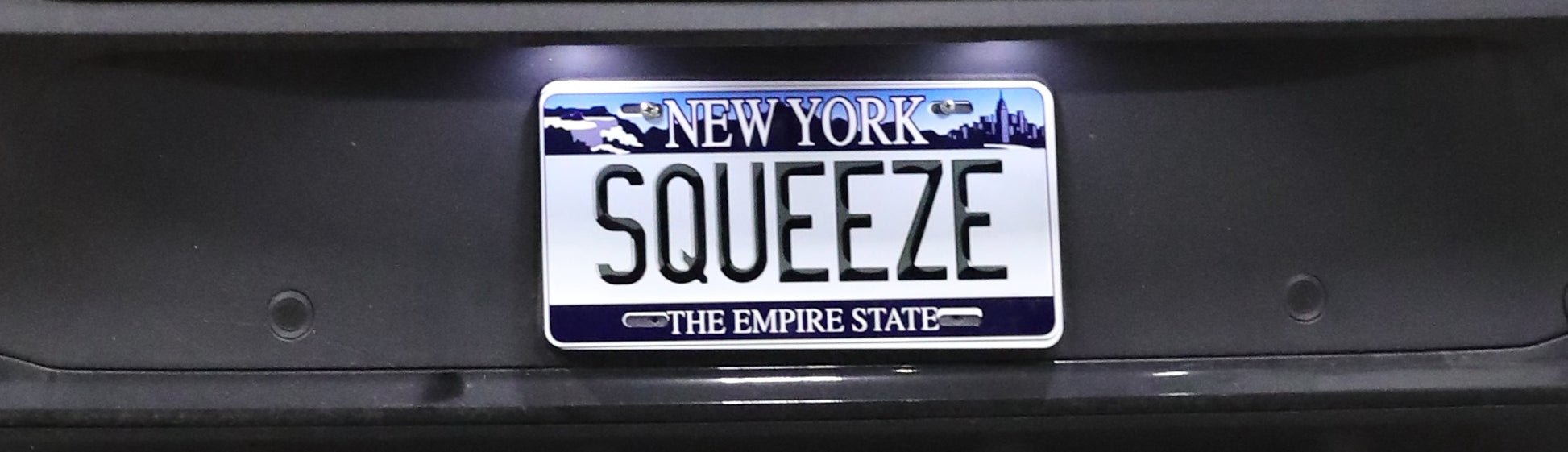 Squeeze NYC Plate Squeeze Benz